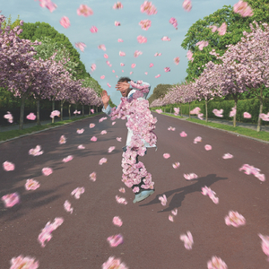 电影来5566黑夜763的背景故事
